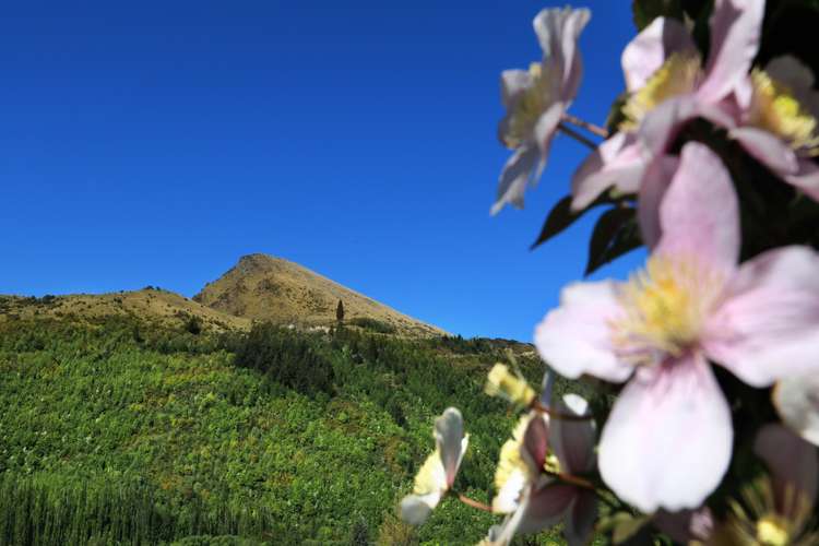 113b Cotter Avenue Arrowtown_24