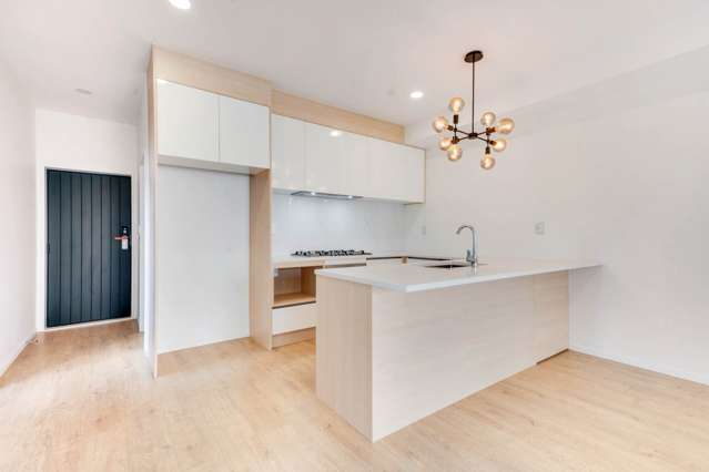 3A Frontier Lane Flat Bush_2