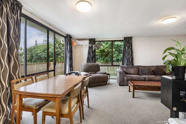 41a David Crescent Karori_3