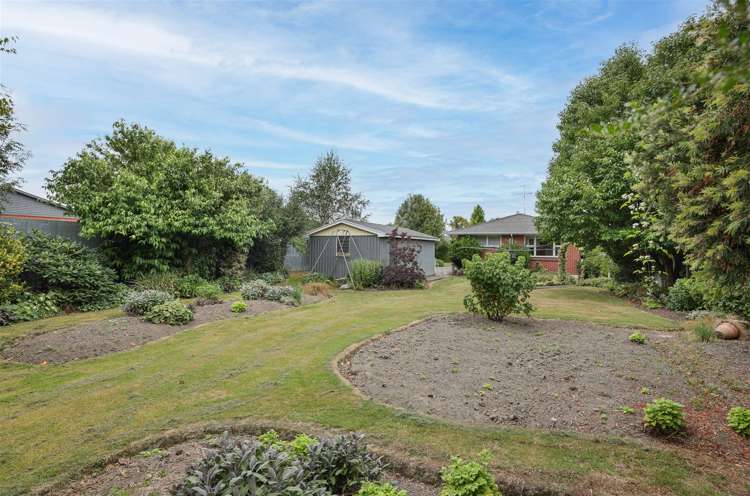 33 Bird Street Hampstead_17