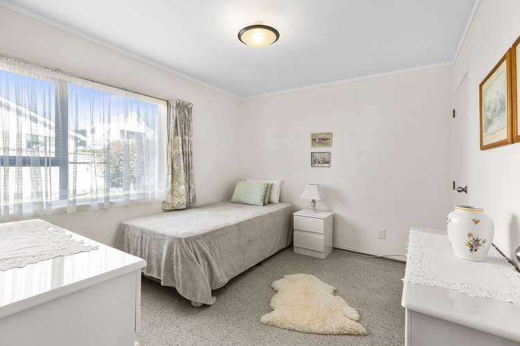 42 Devonshire Road Miramar_12