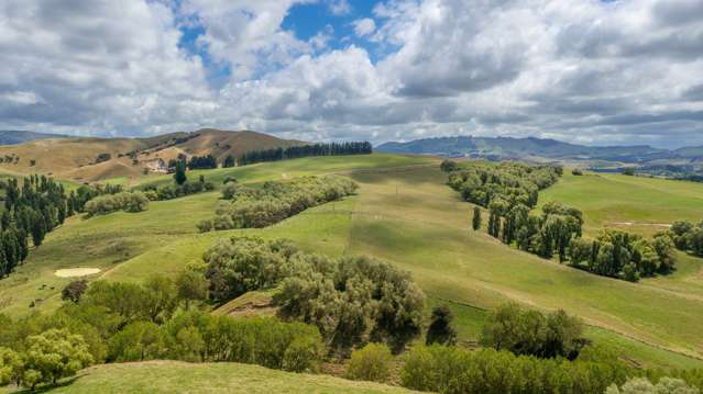 456 Ngawaka Road Central Hawkes Bay Country_1