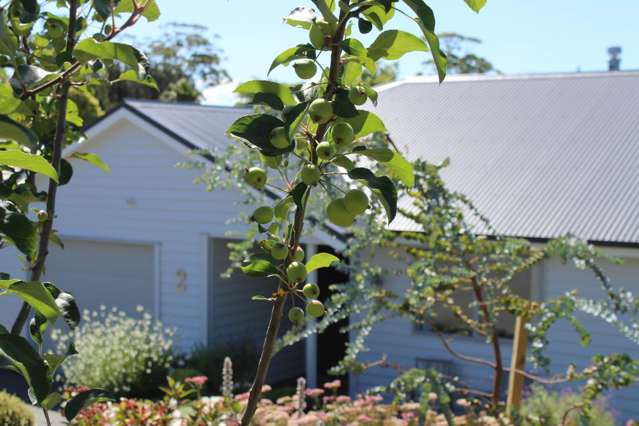 2 Appletree Lane Kerikeri_1