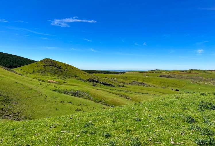 194 Beaumont Station Road Ohai_10