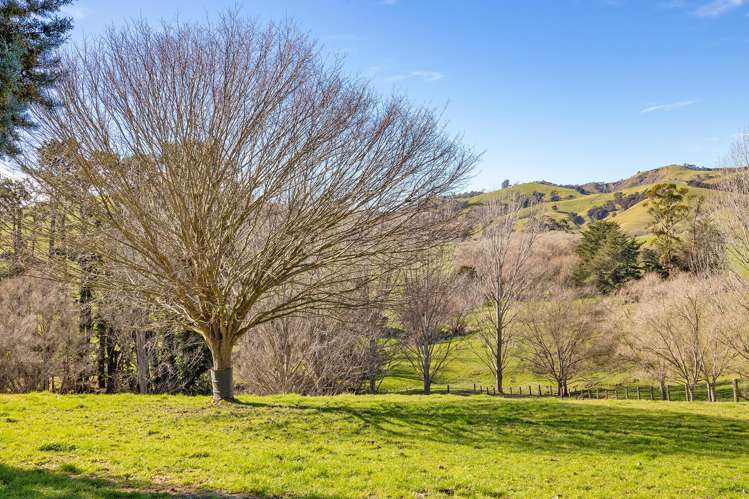 729 Te Ore Ore Bideford Road Masterton_23