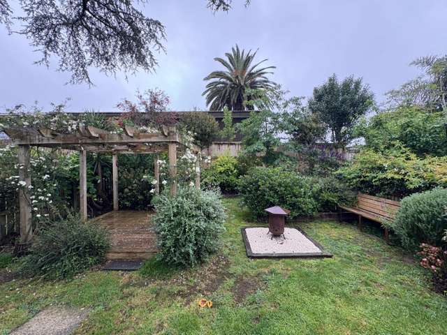 336A Western Hills Drive 11600_4