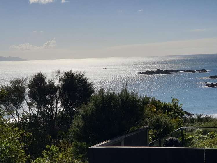 21 Kayes Crescent - Little Bay Coromandel_3