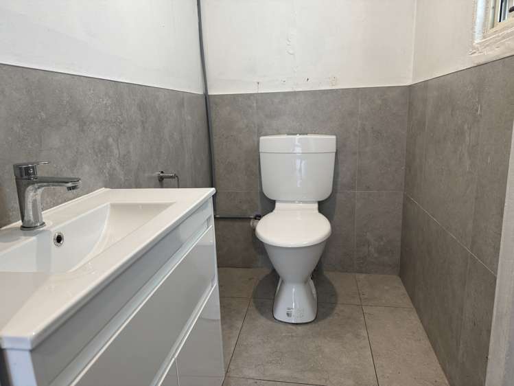 241 Manukau Road Epsom_8