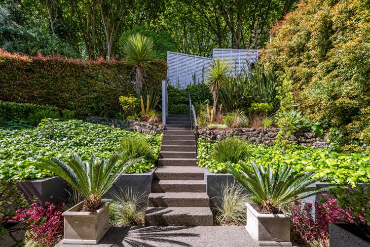 24 Picton Street Freemans Bay_20