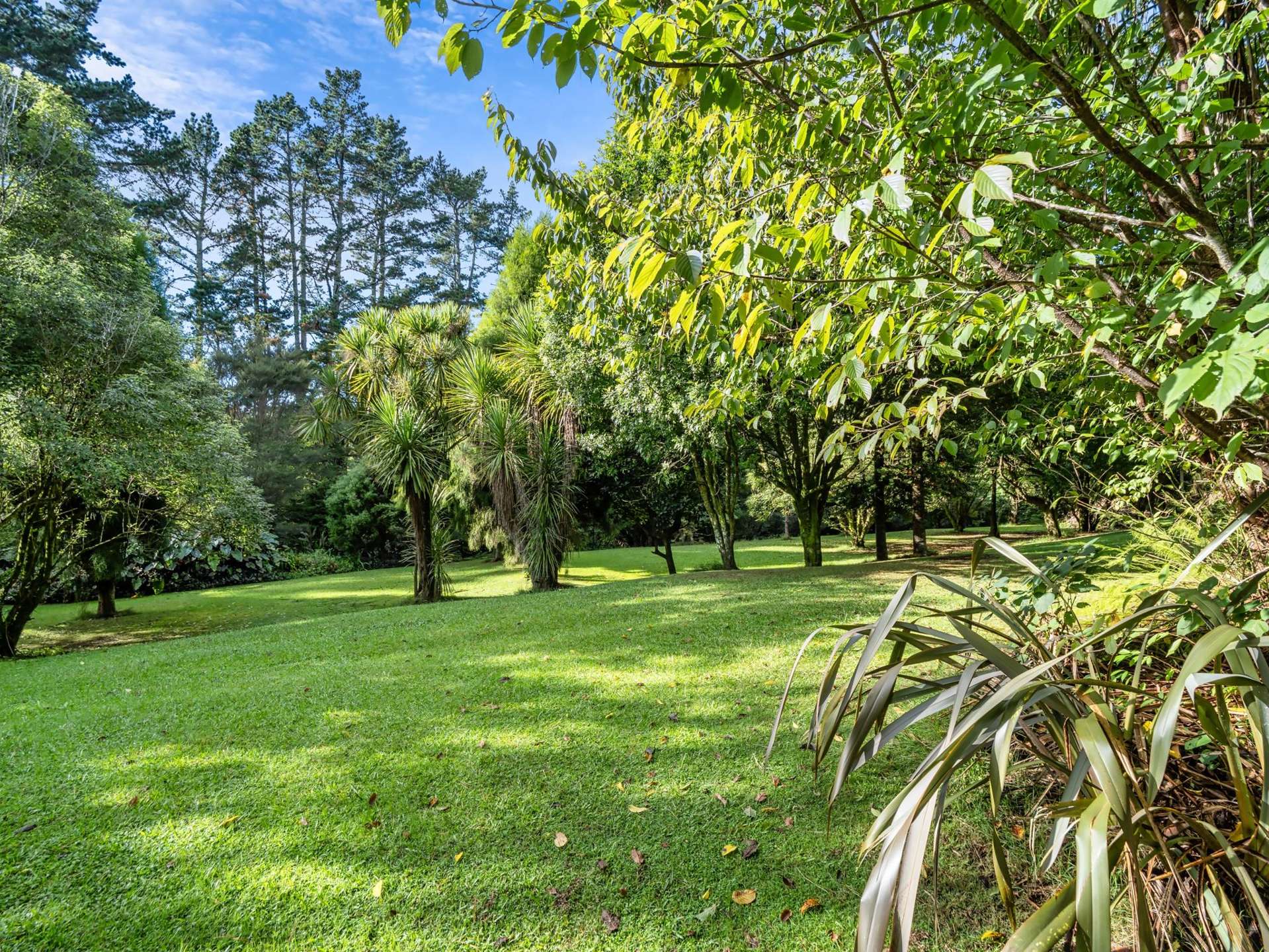 93 Upland Road Aongatete_0