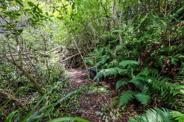 80 Koremata Street Green Island_13