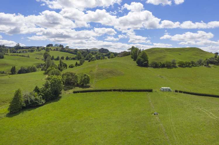 Te Tahi Road Puketotara_18