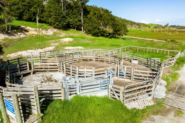 3035 Mititai Road Arapohue_17