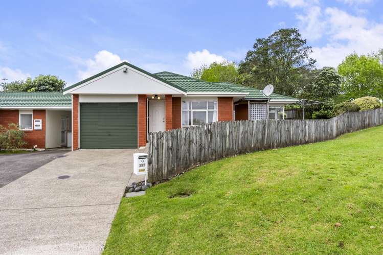 355 Glenfield Road Glenfield_5