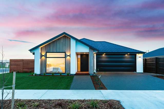 Stunning Entertainer's Dream