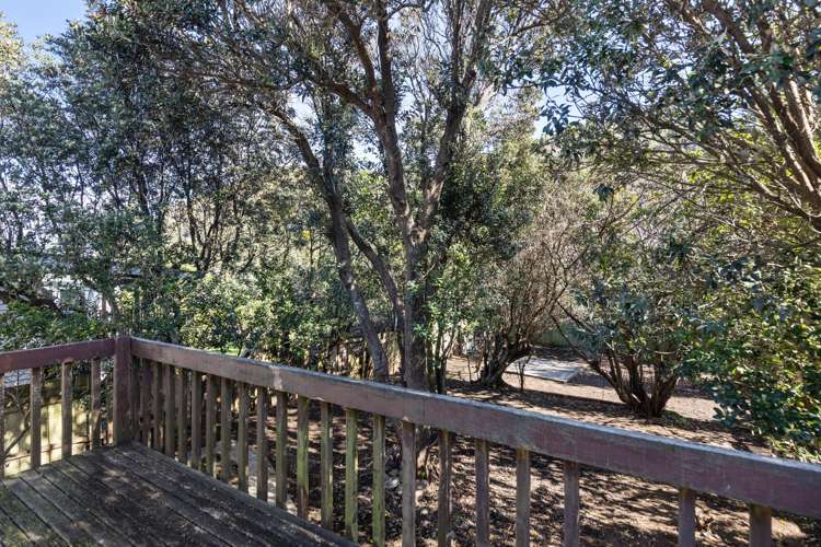 15 Happy Valley Road Owhiro Bay_16