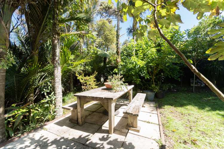 30 Tasman View Road Bethells Beach_19