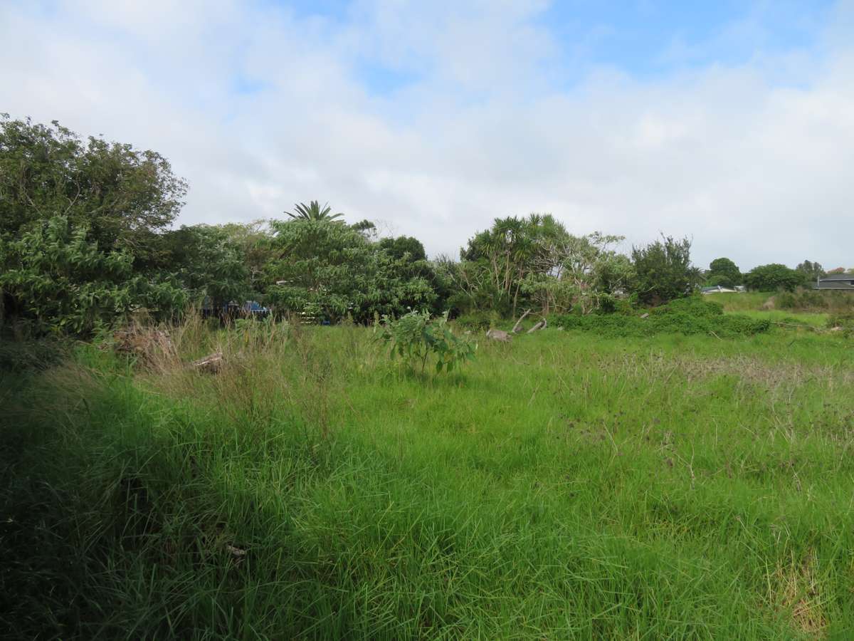 11A Terry Crescent_1