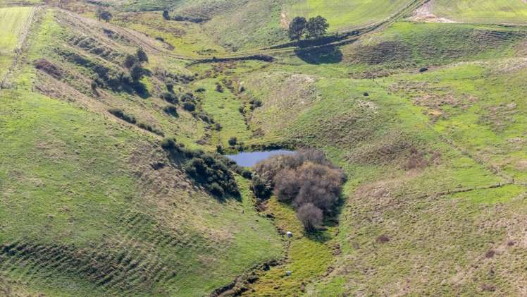35 Grove Access Road Karamu_6