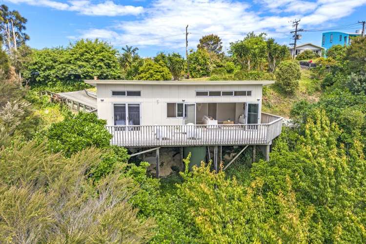 10 Scott Road Tamaterau_4