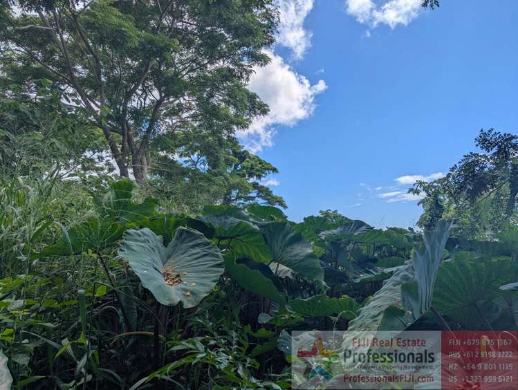 Address withheld Taveuni_7