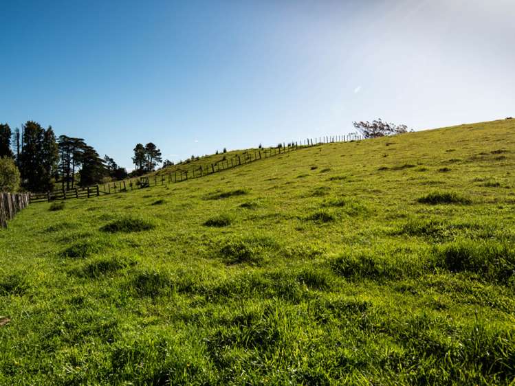 Ruatiti Road Raetihi_11