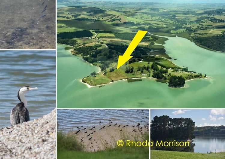 296 Metcalfe Road Matakohe_59