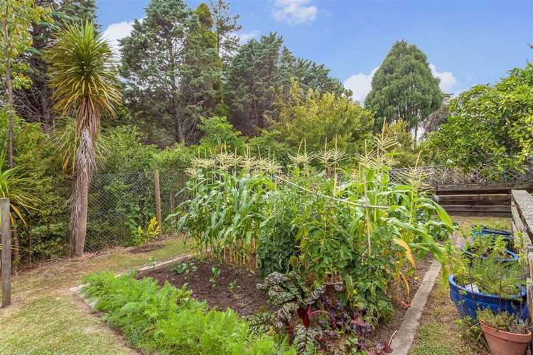 15 The Grove Titirangi_6