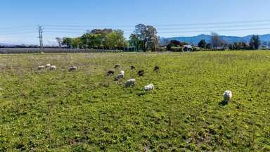 Mills and Ford Road East_1