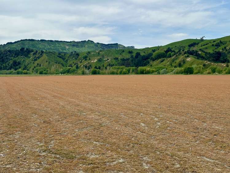 2057 Matawai Road Te Karaka_14