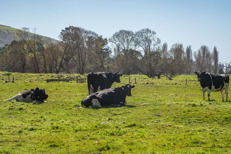 1234 Okains Bay Road Okains Bay_39