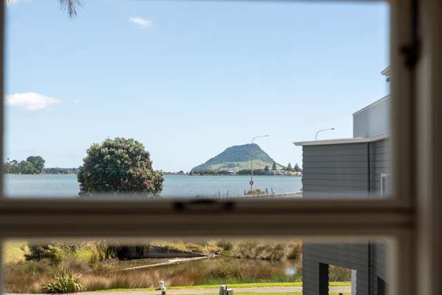 142B Third Avenue Tauranga_2