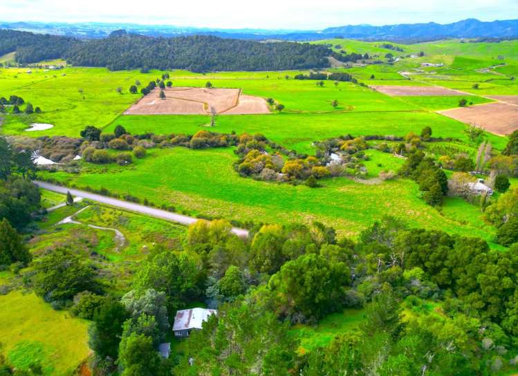 334 Otaua Road Taheke_16