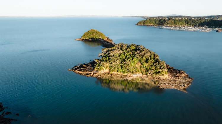 40 Rothschild Terrace Waiheke Island_9