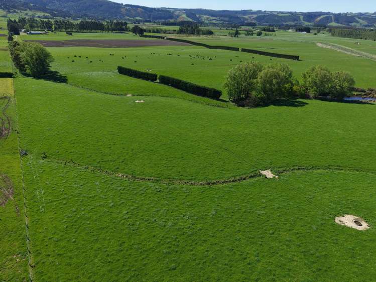 35 Maungatua Road Taieri Plain_12