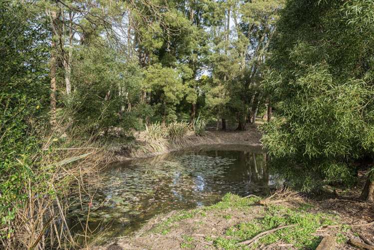 307 Whananaki North Road Opuawhanga_15