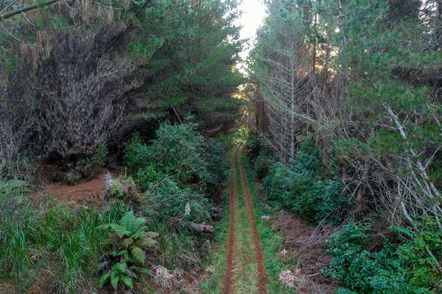 818 Otaki Gorge Road Otaki_3