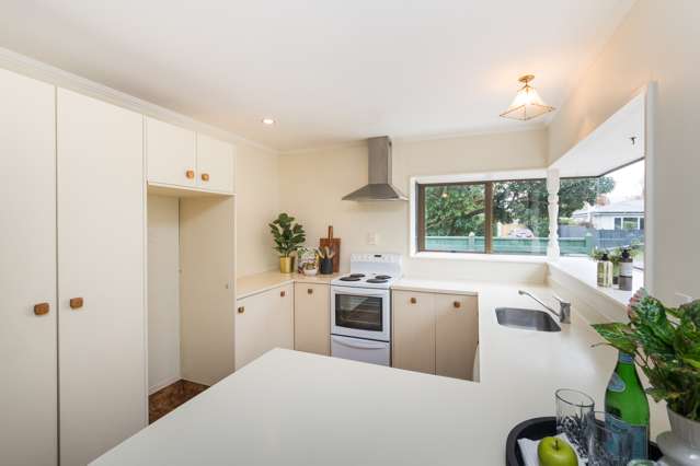 34a Puriri Terrace Roslyn_2