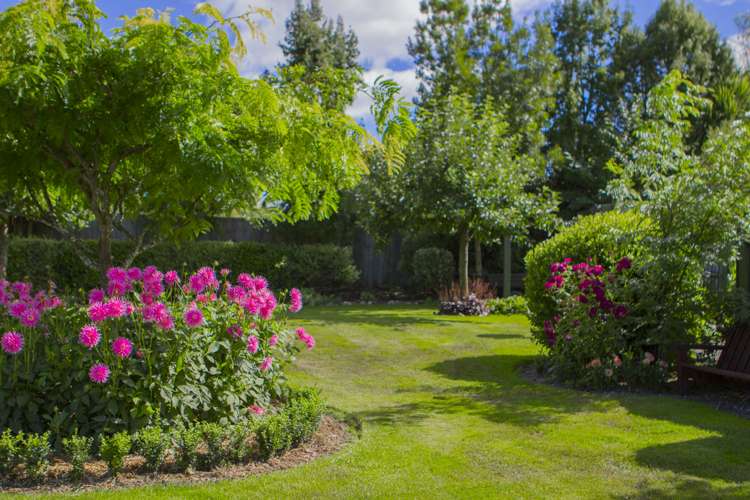 15 Kowhai Street Oxford_17