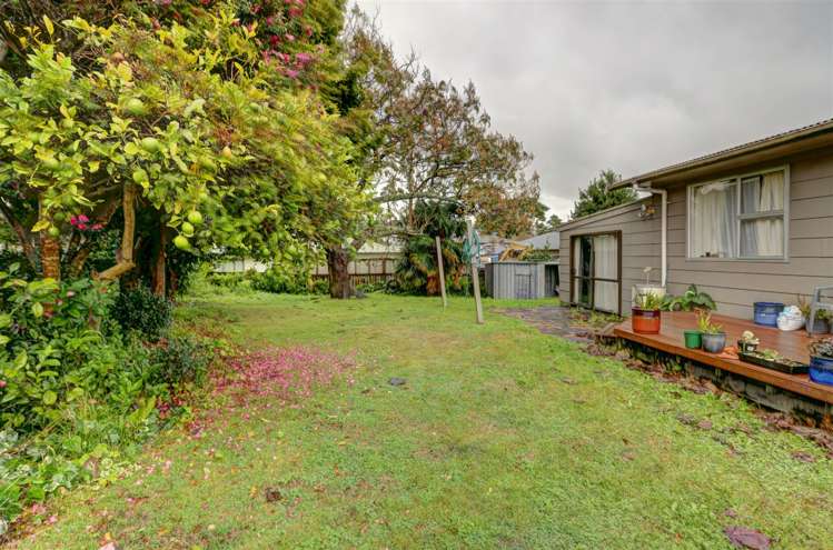 53 Vernall Street Nawton_12