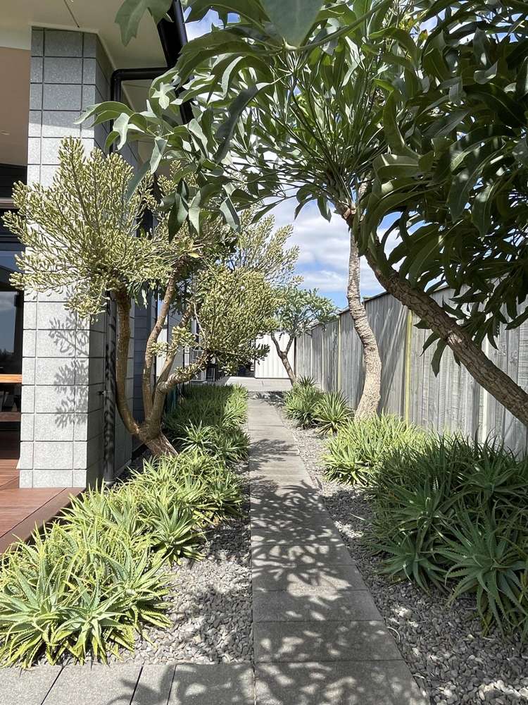 67 Milano Boulevard Karaka_34