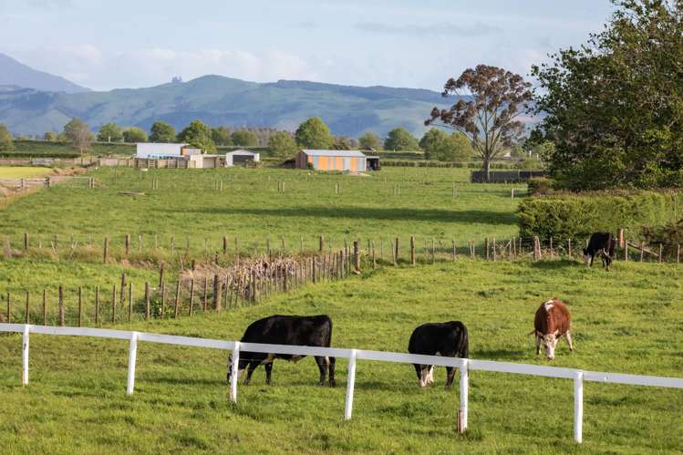 108 Old Netherton Rd Netherton Paeroa Paeroa_35