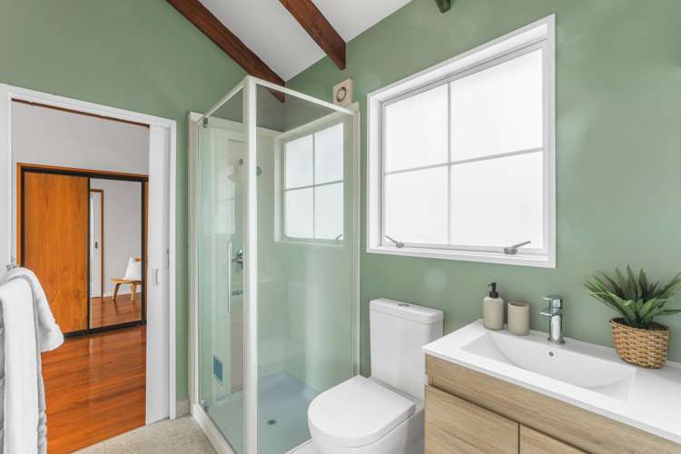 8 Earl Street Hillsborough_18