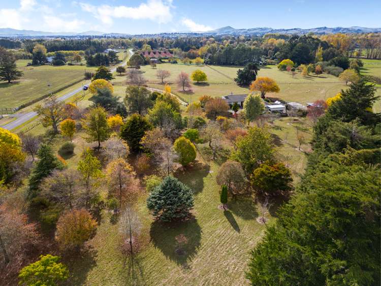 237 Te Whiti Road Masterton_36