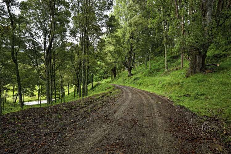 1131 Whakarau Road Te Karaka_8