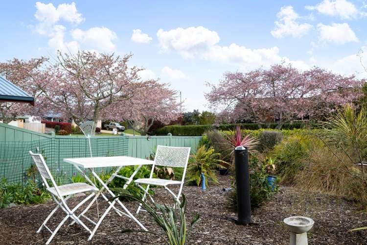 4 Lansdowne Road Katikati_16