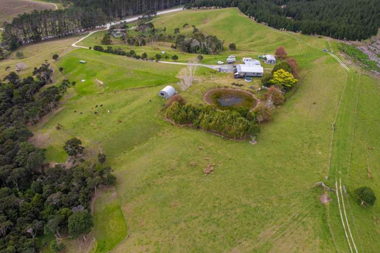 1089 Run Road Wellsford_5