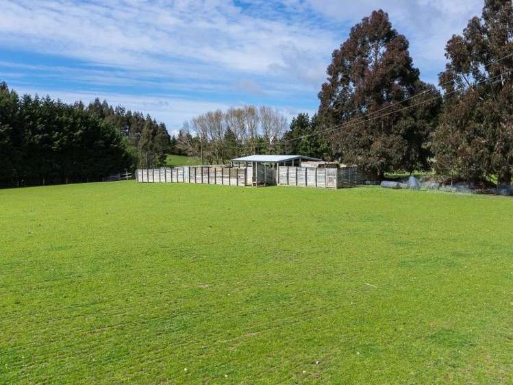 1680 Mahinerangi Road Waipori_13