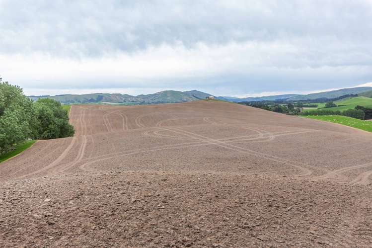 47 Hurunui Mouth Road Domett_7