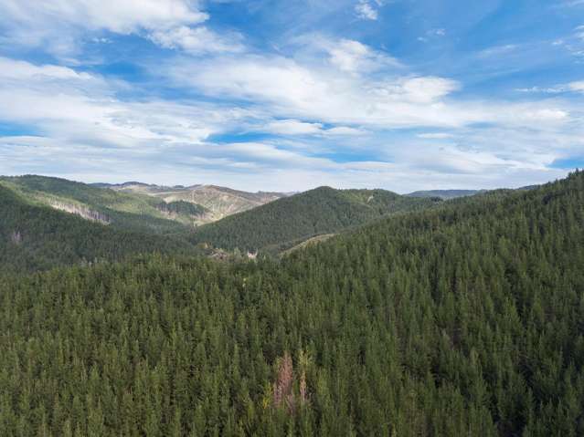 SH 1 Wayby Wellsford_4